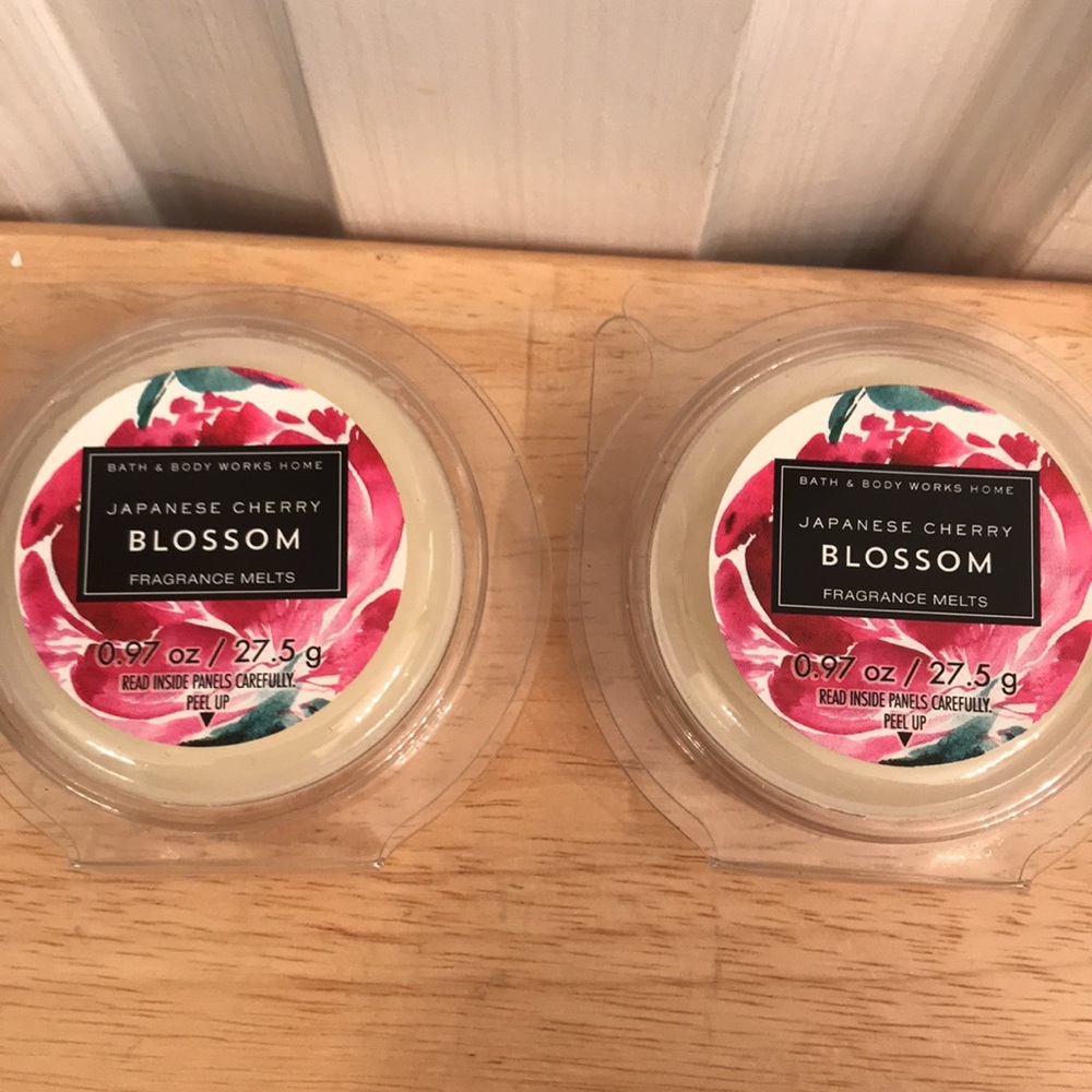 Bath and body works “Discontinued melts and oils” - Picture 9 of 14